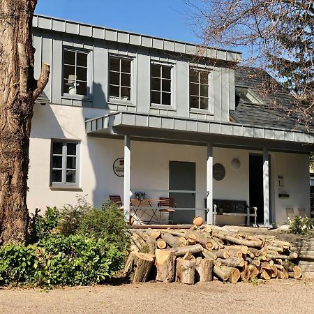 Ferienwohnung Weingut Villa Huesgen Am Moenchhof Traben-Trarbach Exteriör bild