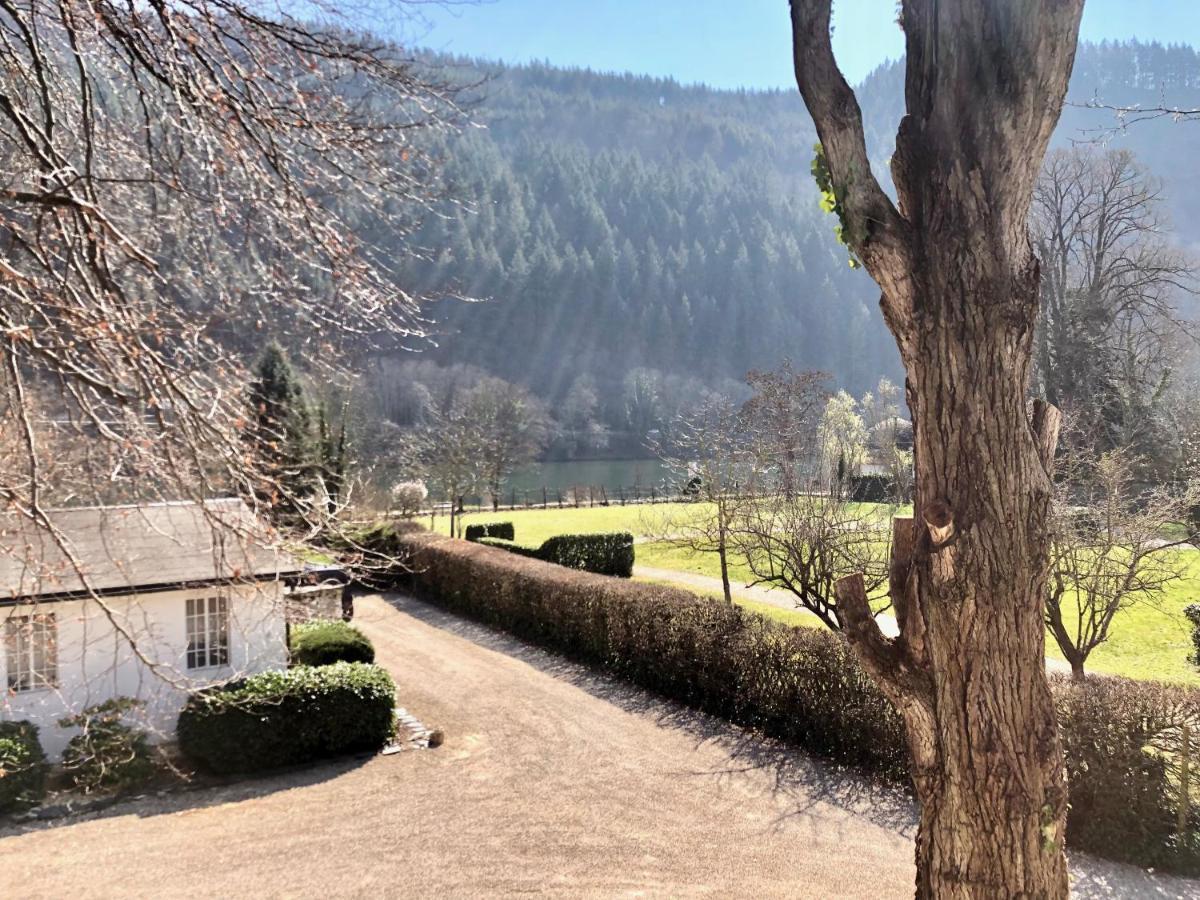 Ferienwohnung Weingut Villa Huesgen Am Moenchhof Traben-Trarbach Exteriör bild